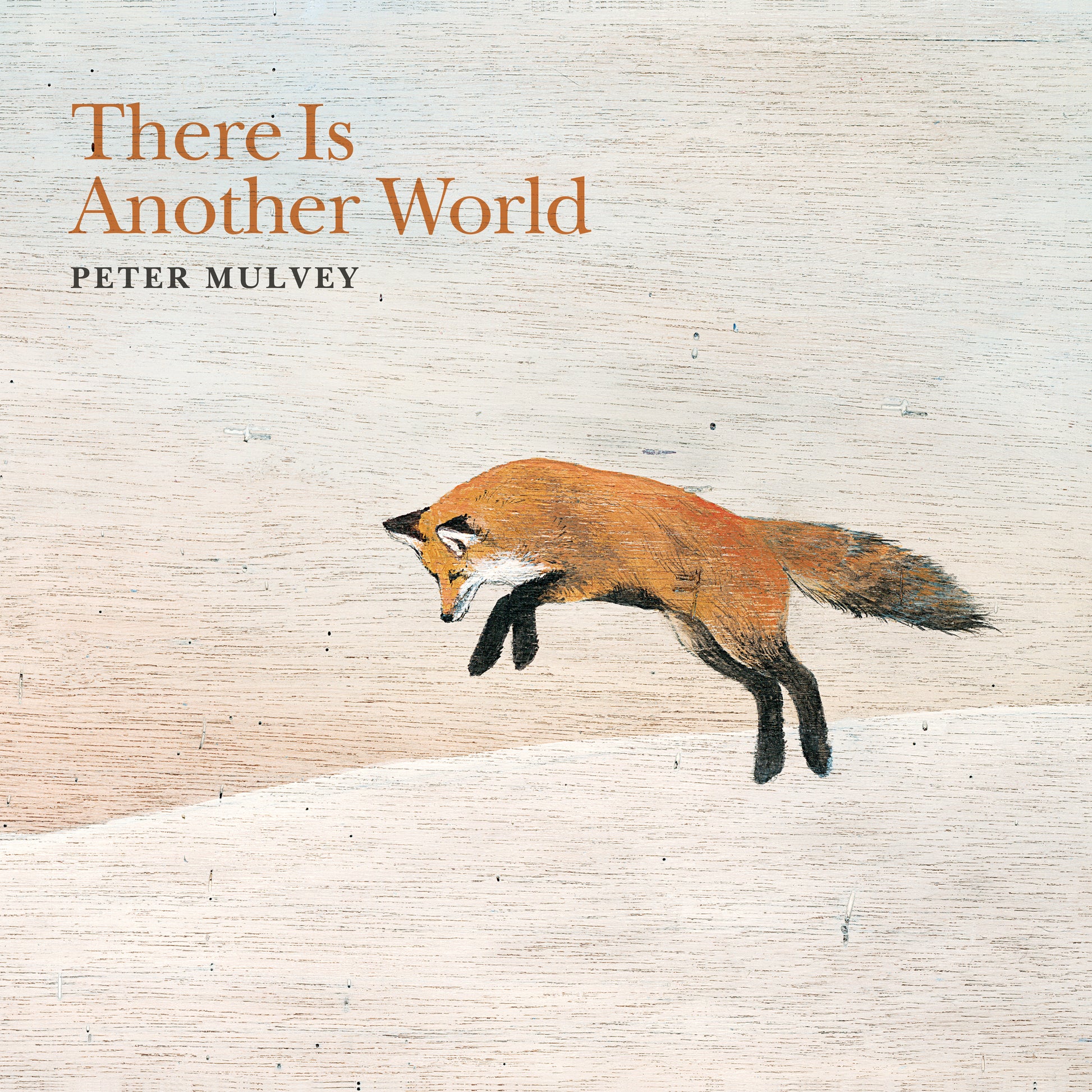 Peter Mulvey - There Is Another World