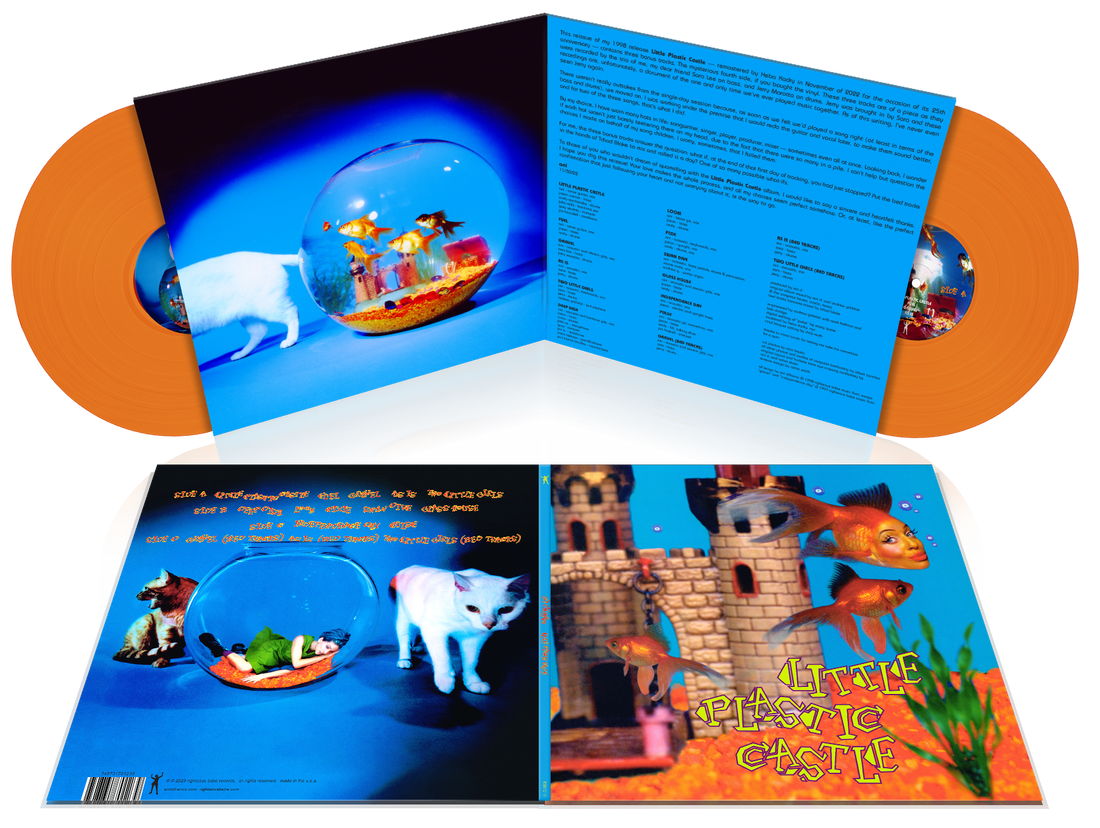 Little Plastic Castle (25th Anniversary Edition) — available for Little Plastic Castle (25th Anniversary Edition) — available for