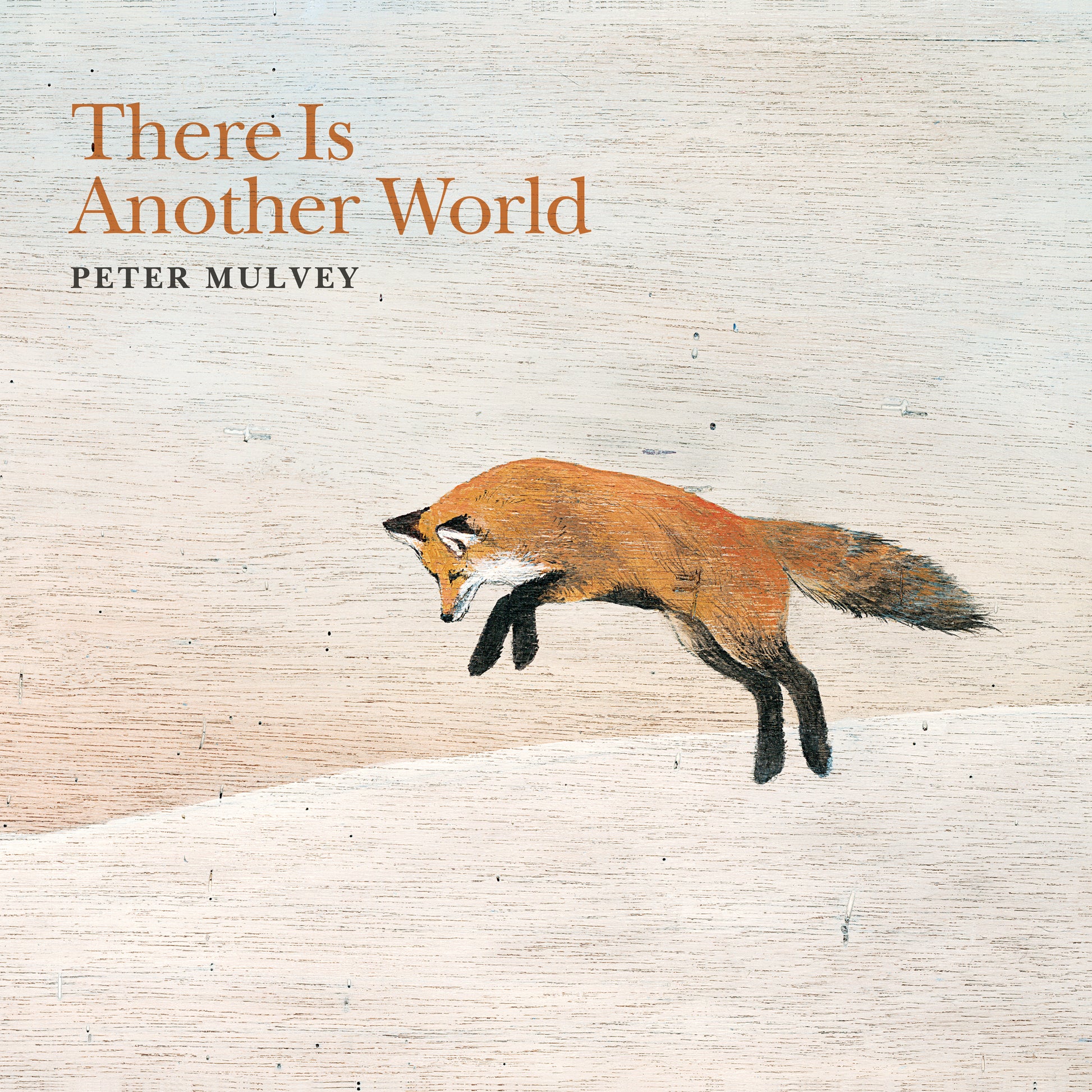 Peter Mulvey - Vinyl There Is Another World