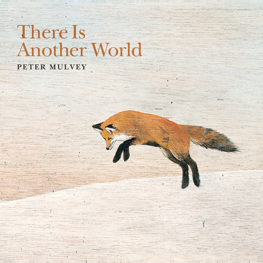 Peter Mulvey - Vinyl There Is Another World